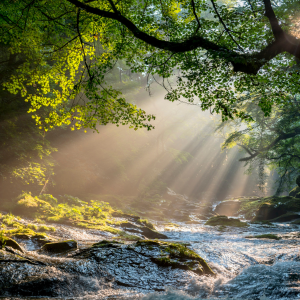 Read more about the article Why the World Feels Broken and the Forgotten Idea That Explains It