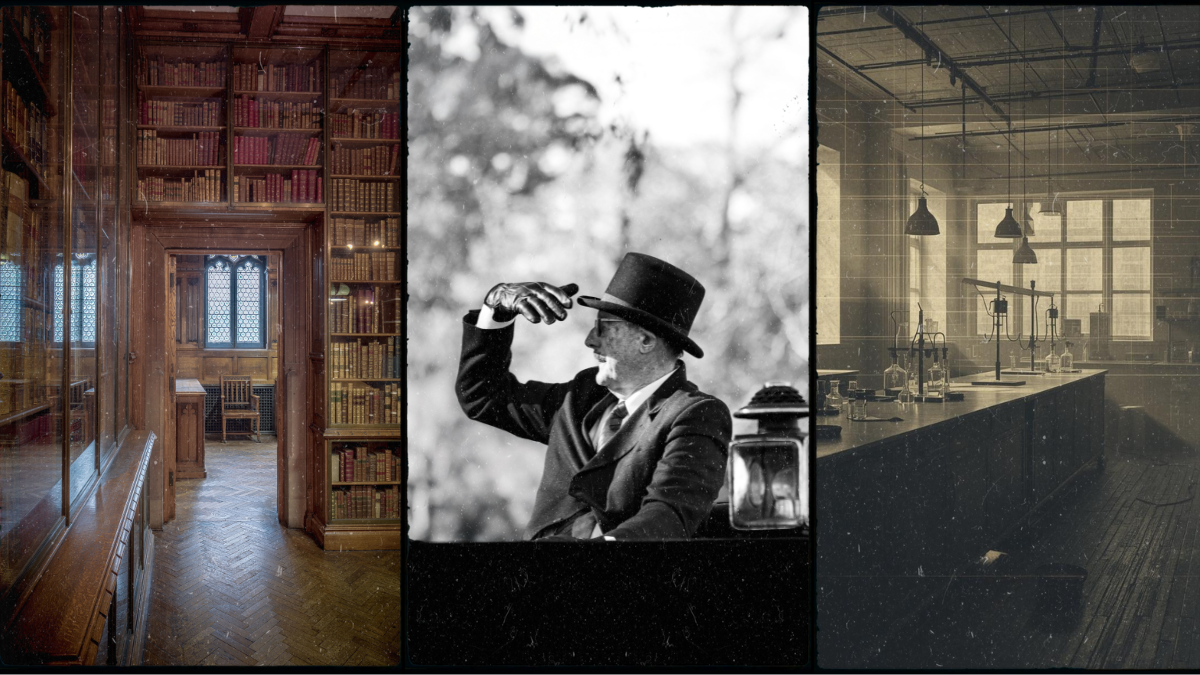 You are currently viewing The Flexner Report: What Actually Happened to Natural Medicine